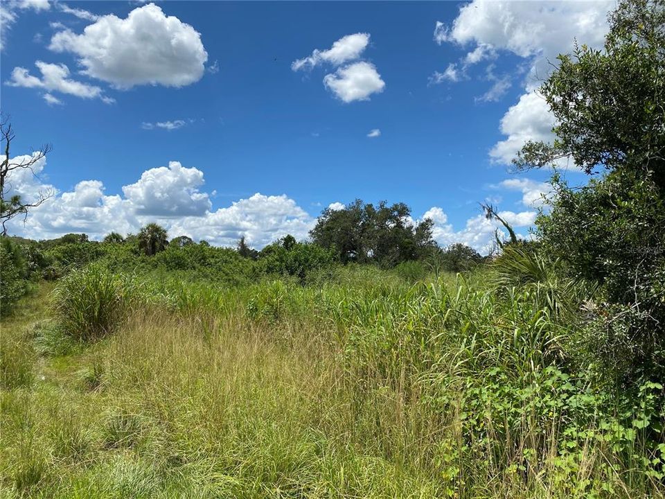 На продажу: $225,000 (3.34 acres)