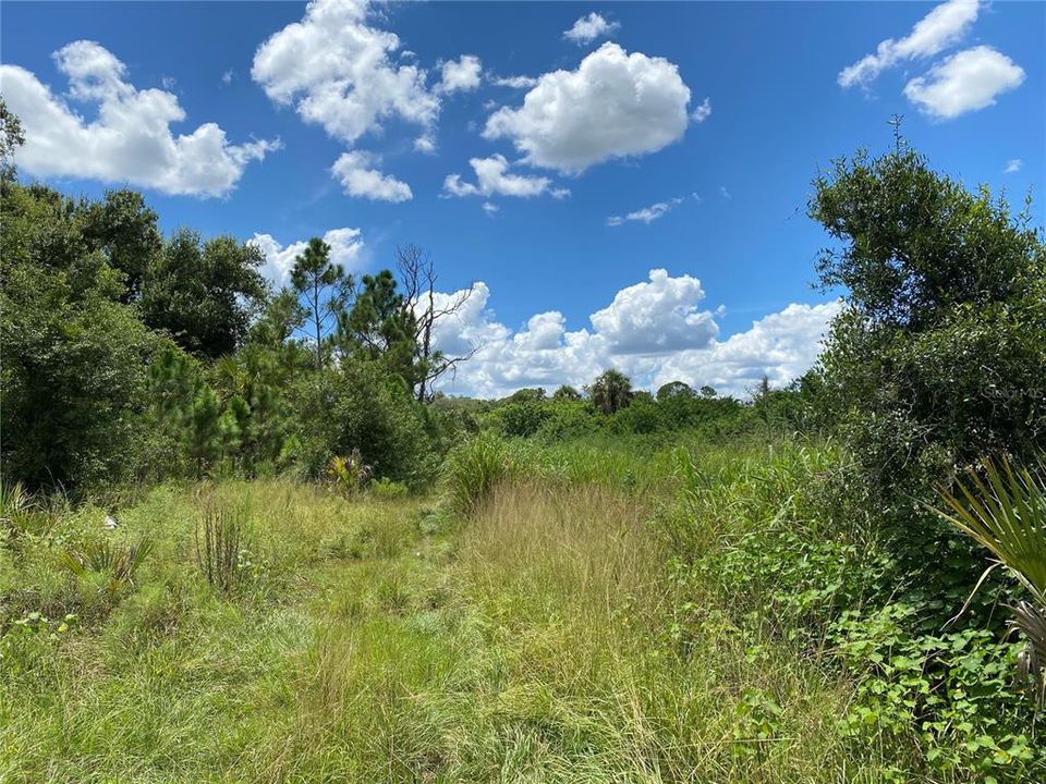 На продажу: $225,000 (3.34 acres)