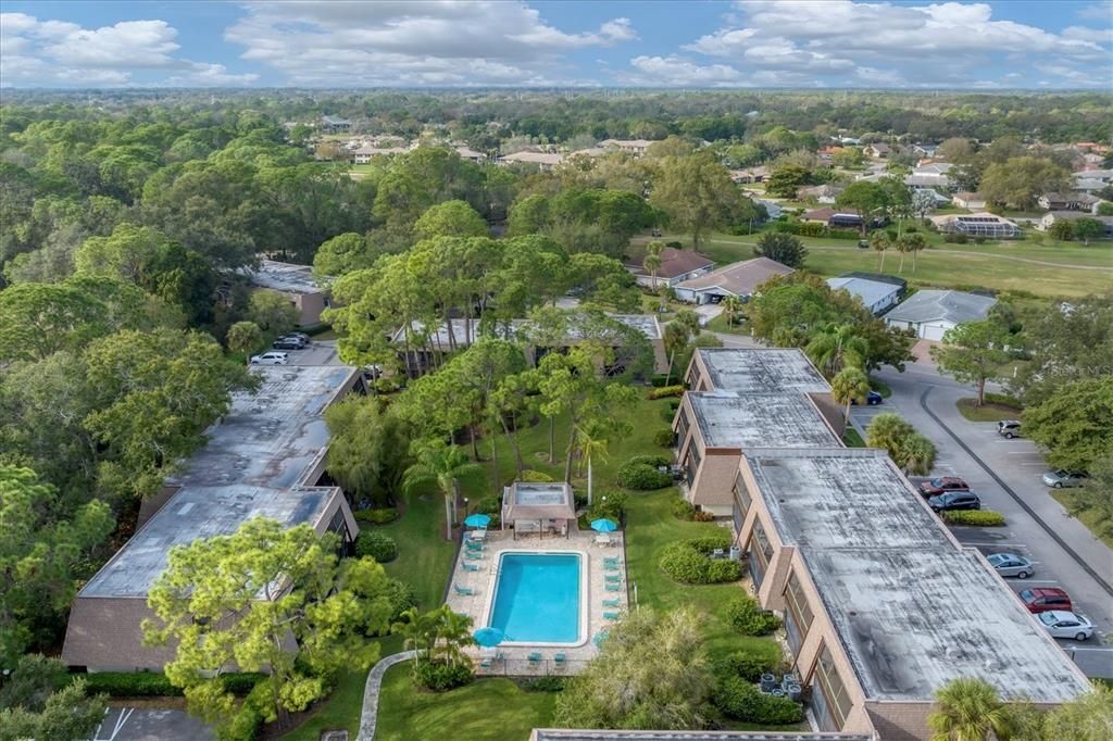 Active With Contract: $1,800 (2 beds, 2 baths, 967 Square Feet)