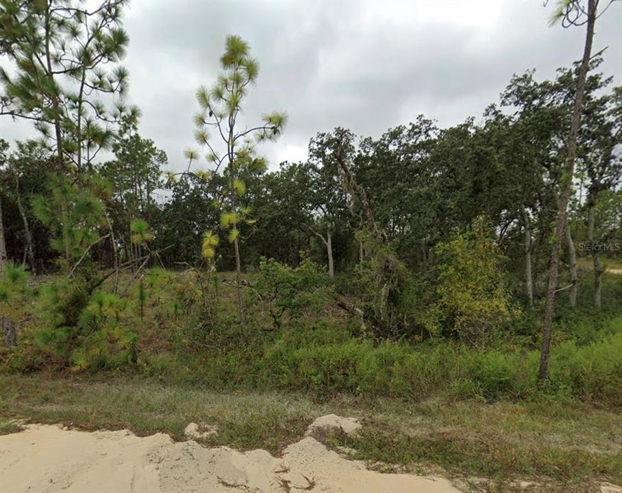 En Venta: $35,000 (1.25 acres)