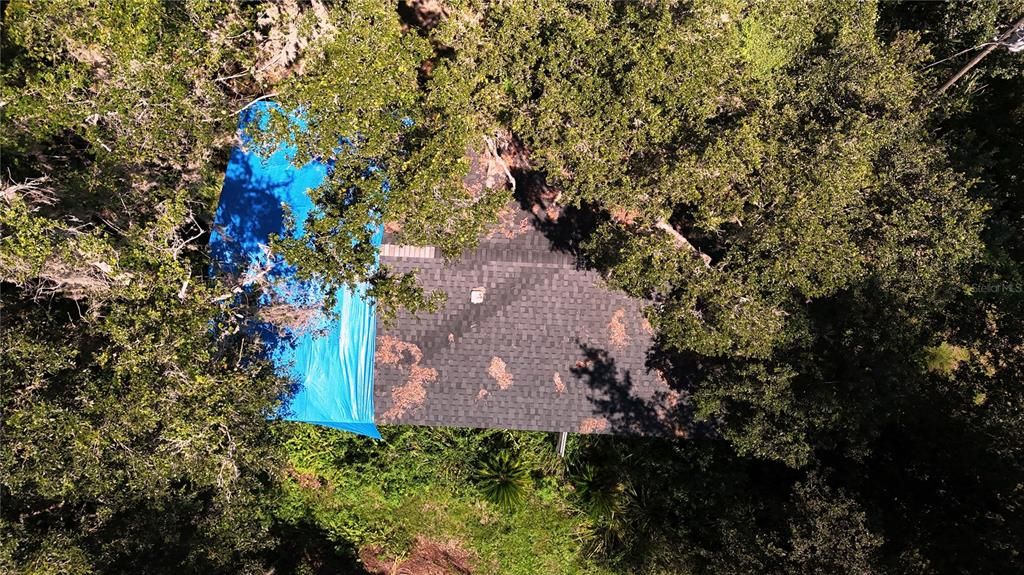 For Sale: $440,000 (11.00 acres)