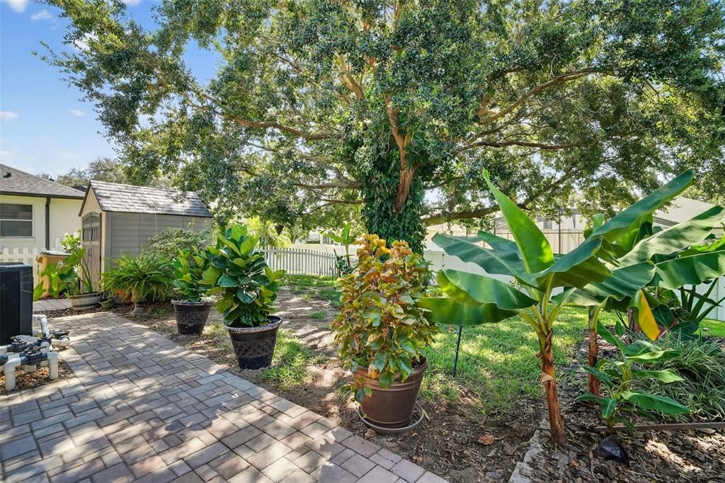 合同活跃: $409,900 (3 贝兹, 2 浴室, 1910 平方英尺)