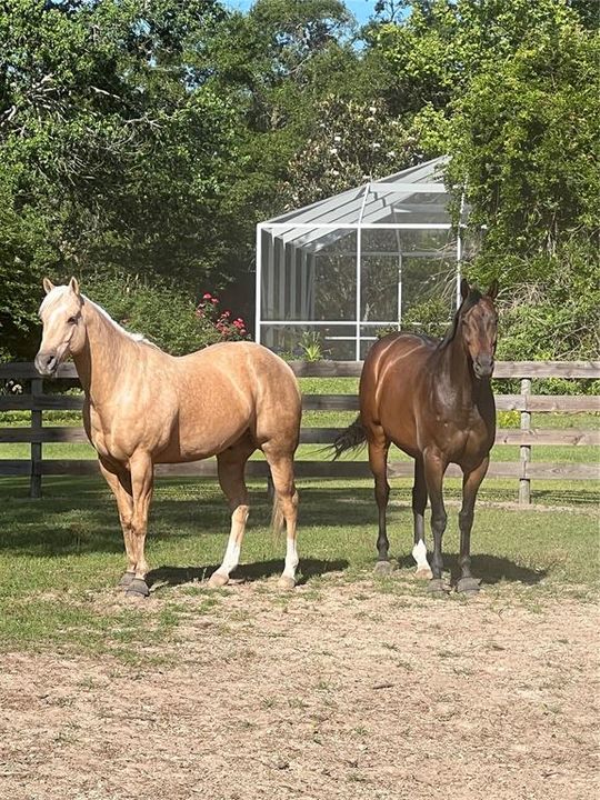 En Venta: $799,000 (3 camas, 3 baños, 2196 Pies cuadrados)