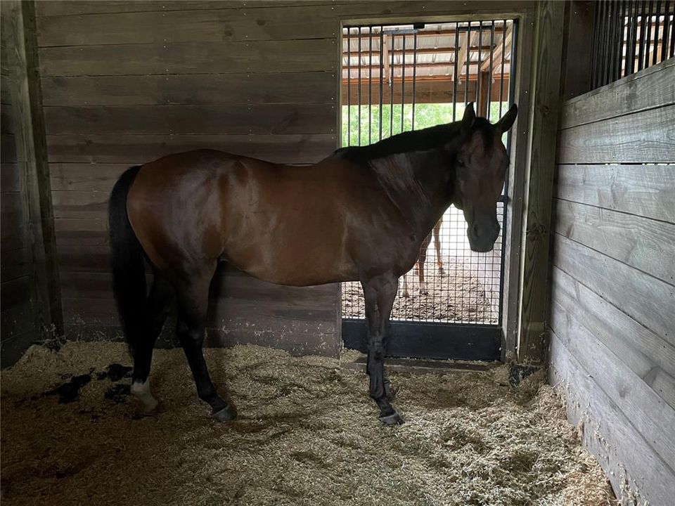 En Venta: $799,000 (3 camas, 3 baños, 2196 Pies cuadrados)