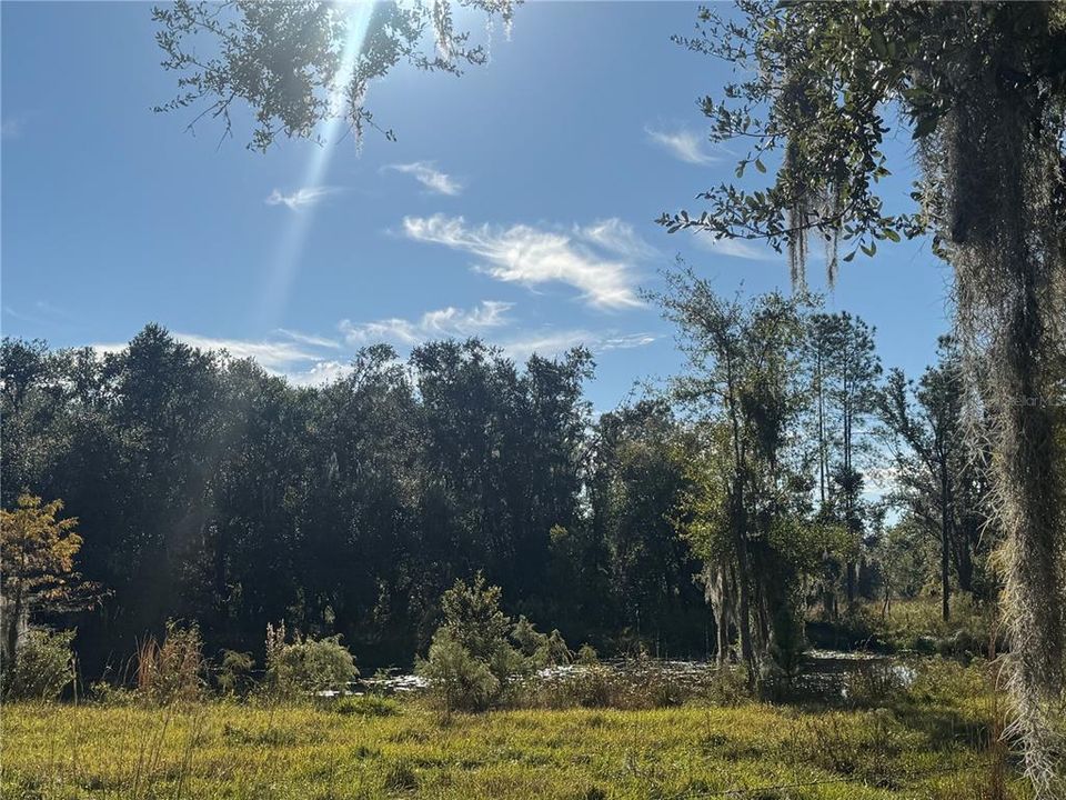 En Venta: $649,900 (3 camas, 3 baños, 1967 Pies cuadrados)