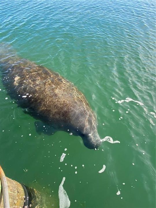 待售: $4,950,000 (5 贝兹, 5 浴室, 4168 平方英尺)