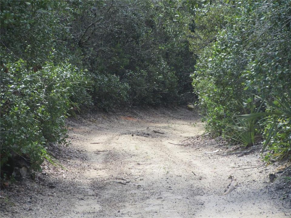 Active With Contract: $55,000 (3 beds, 2 baths, 1296 Square Feet)