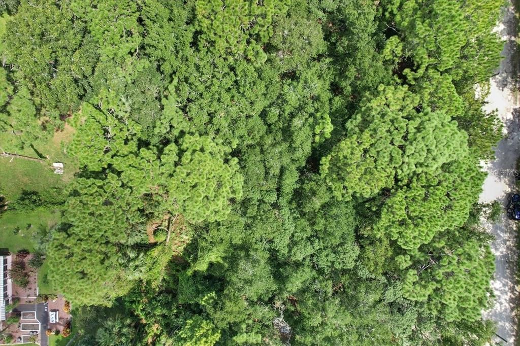 En Venta: $19,900 (0.57 acres)