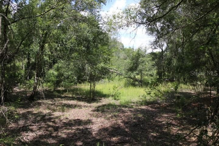 For Sale: $90,000 (5.11 acres)