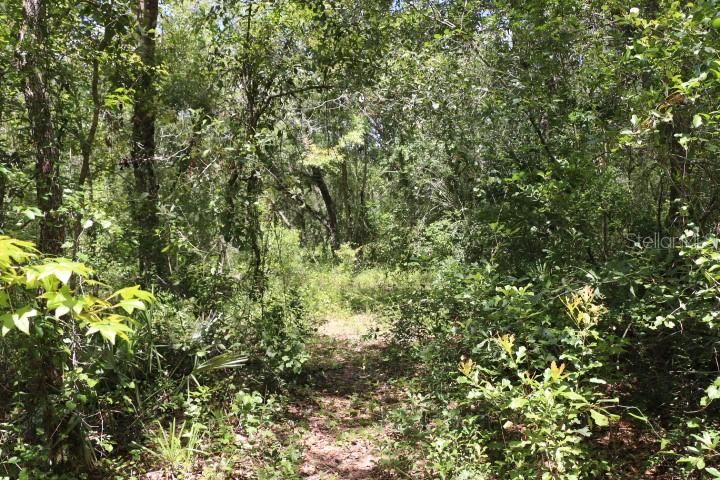 For Sale: $90,000 (5.11 acres)