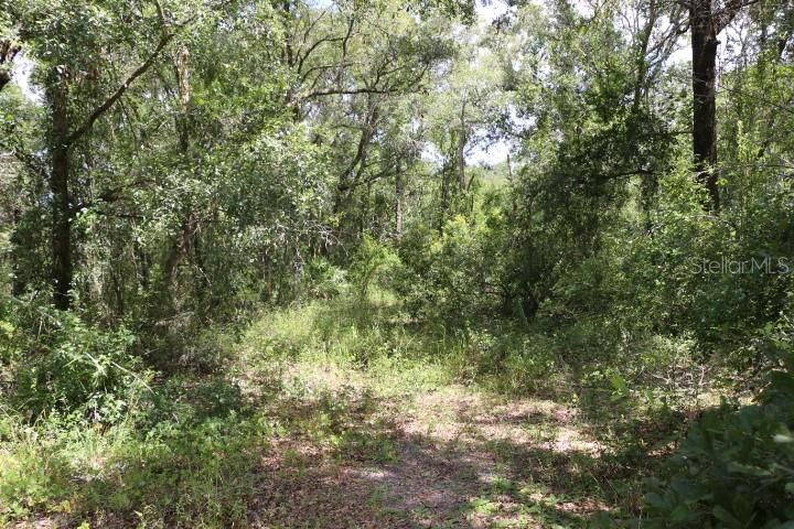 For Sale: $90,000 (5.11 acres)