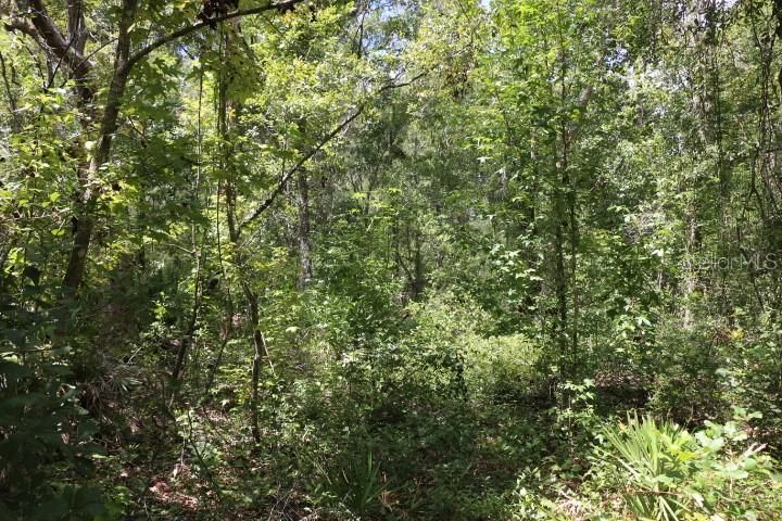 For Sale: $90,000 (5.11 acres)