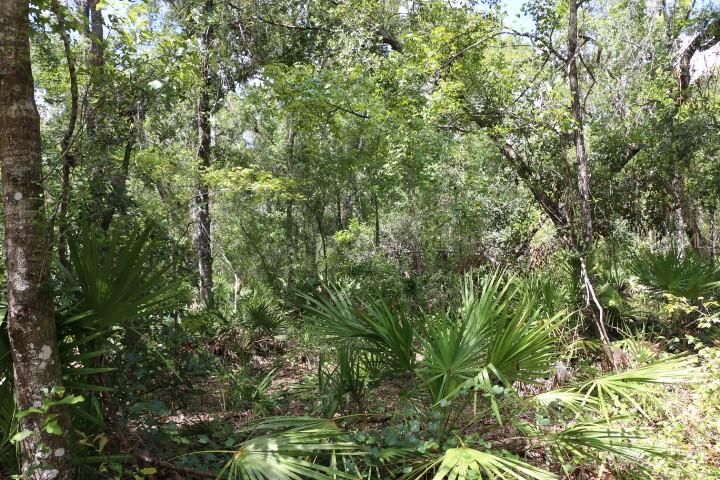 For Sale: $90,000 (5.11 acres)