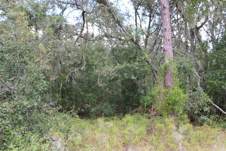 For Sale: $90,000 (5.11 acres)