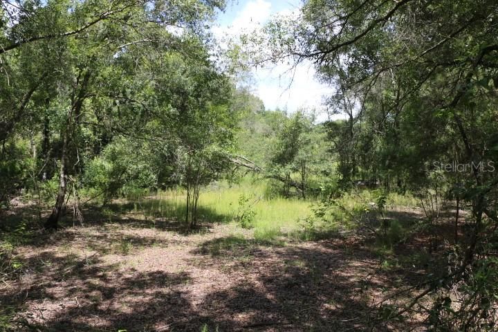 For Sale: $90,000 (5.11 acres)