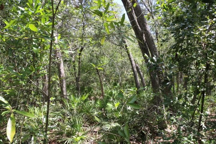 For Sale: $90,000 (5.11 acres)