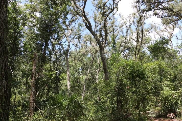 For Sale: $90,000 (5.11 acres)