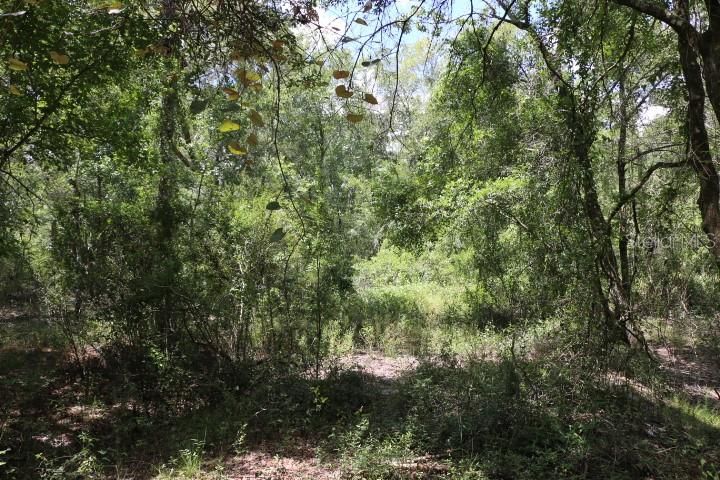 For Sale: $90,000 (5.11 acres)