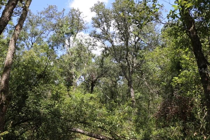 For Sale: $90,000 (5.11 acres)