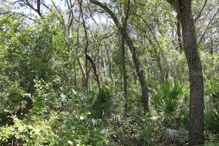 For Sale: $90,000 (5.11 acres)