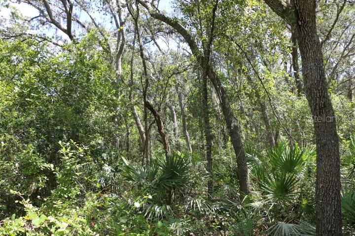 For Sale: $90,000 (5.11 acres)