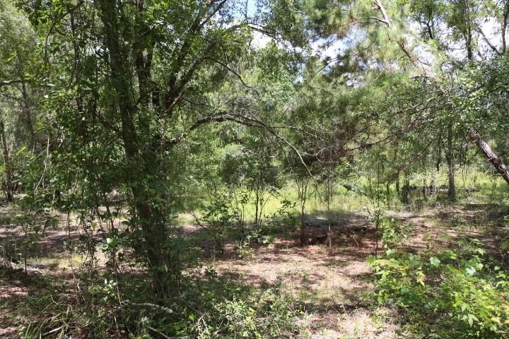 For Sale: $90,000 (5.11 acres)