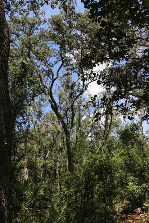 For Sale: $90,000 (5.11 acres)