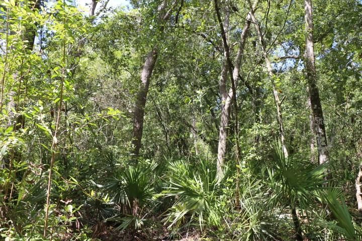 For Sale: $90,000 (5.11 acres)