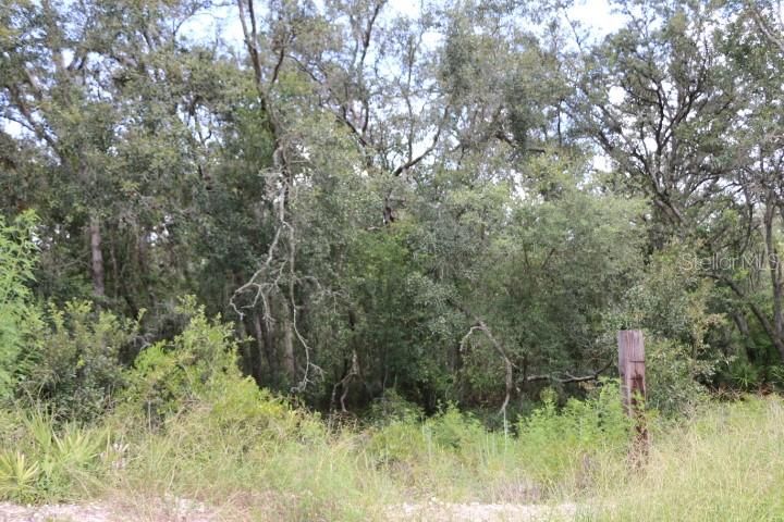 For Sale: $90,000 (5.11 acres)