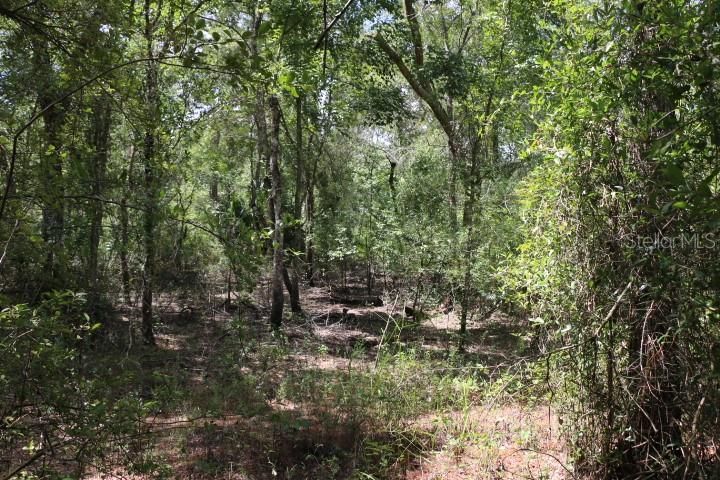 For Sale: $90,000 (5.11 acres)