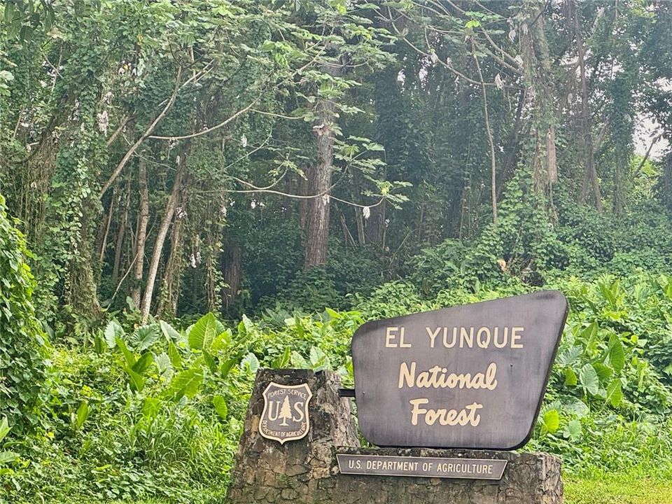 На продажу: $225,000 (0.26 acres)