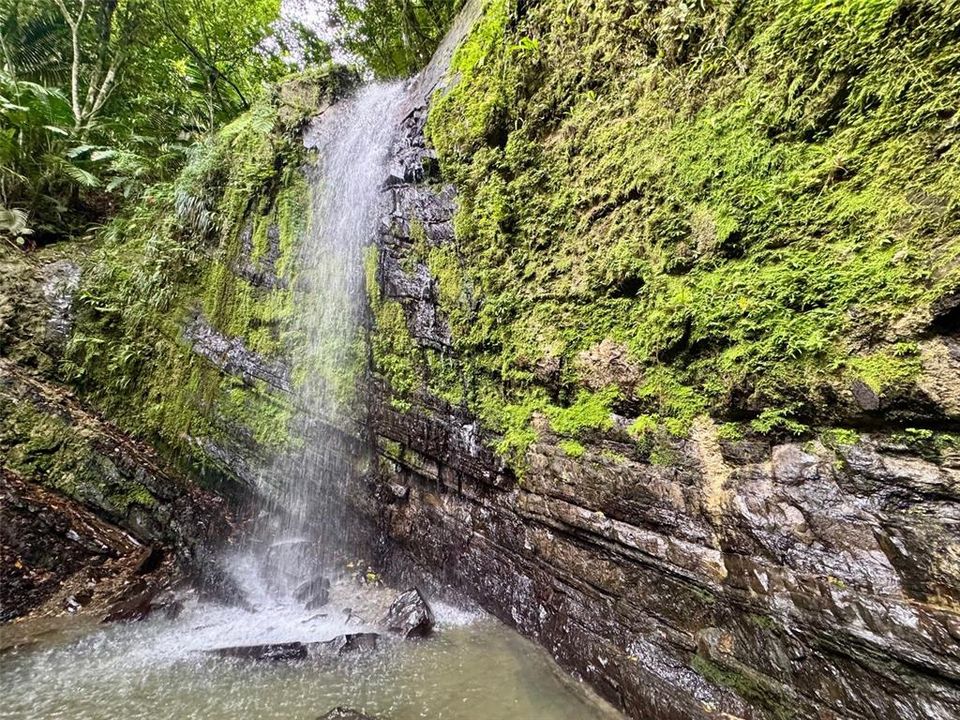 На продажу: $225,000 (0.26 acres)