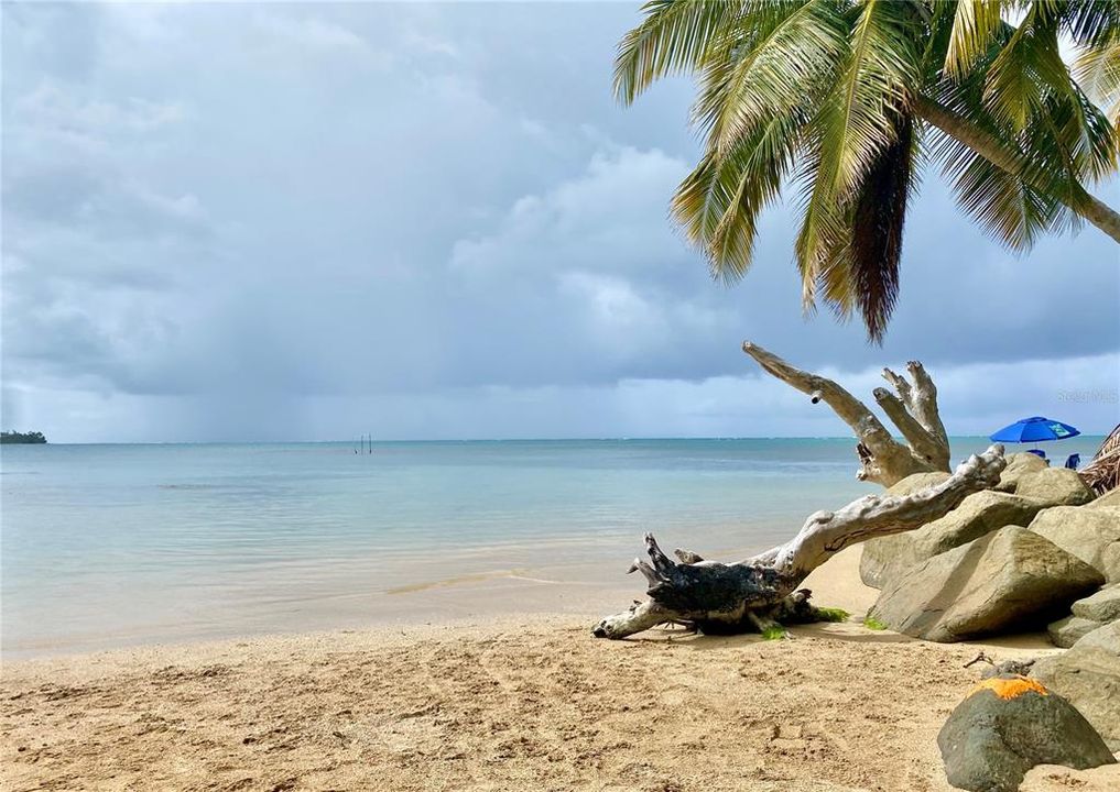 На продажу: $225,000 (0.26 acres)