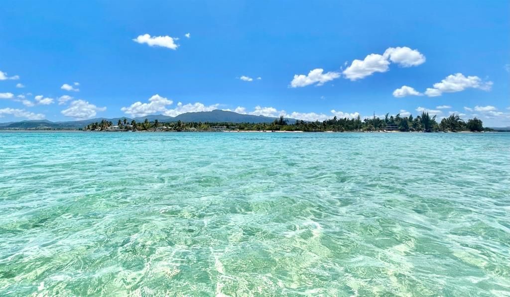 На продажу: $225,000 (0.26 acres)