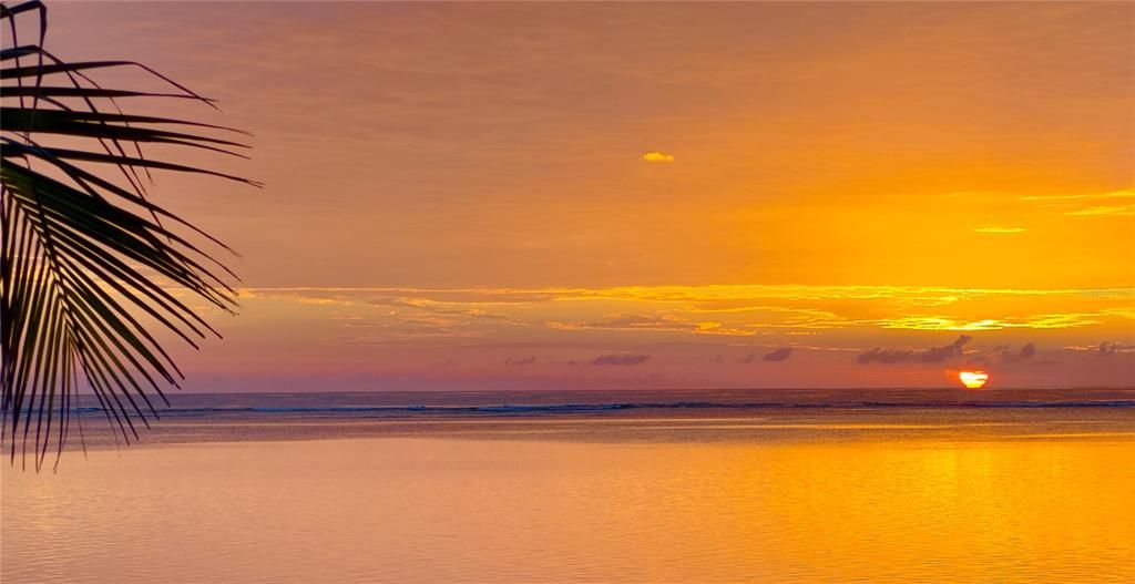 На продажу: $225,000 (0.26 acres)