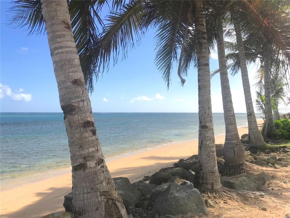 На продажу: $225,000 (0.26 acres)