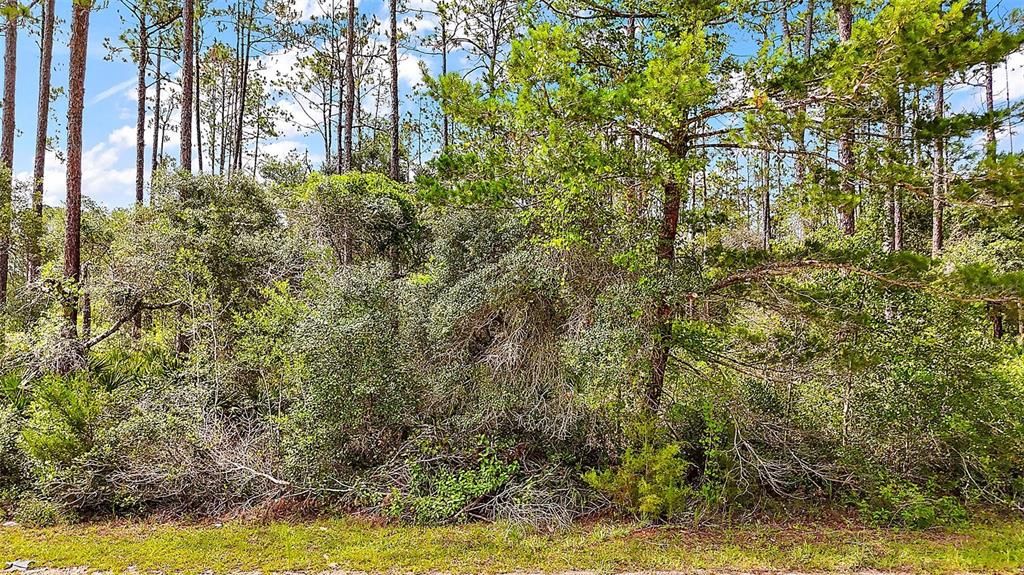 For Sale: $36,000 (1.37 acres)