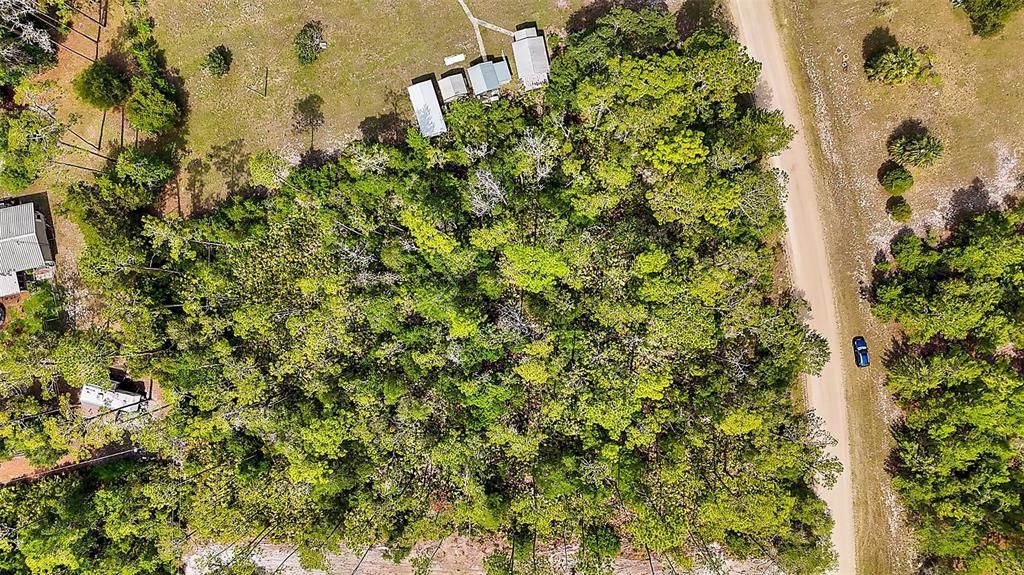 For Sale: $36,000 (1.37 acres)