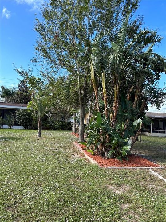 待售: $315,000 (4 贝兹, 3 浴室, 1444 平方英尺)