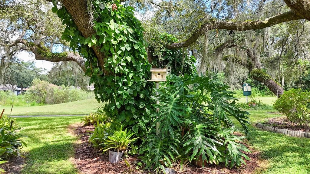 For Sale: $375,000 (3 beds, 2 baths, 2226 Square Feet)