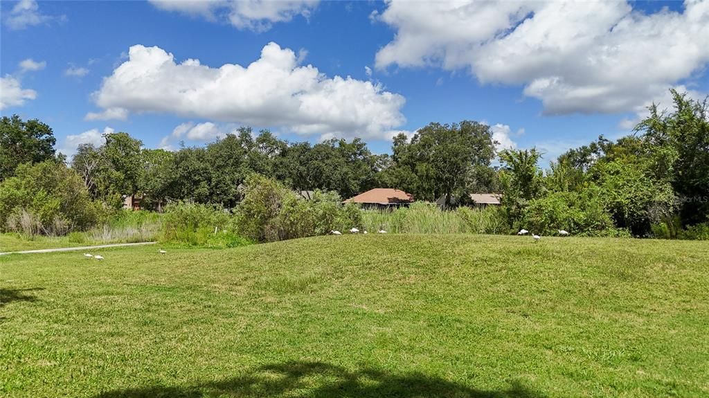 For Sale: $375,000 (3 beds, 2 baths, 2226 Square Feet)