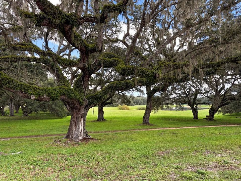 En Venta: $40,000 (0.26 acres)