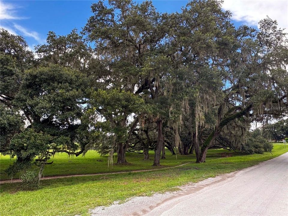 En Venta: $40,000 (0.26 acres)