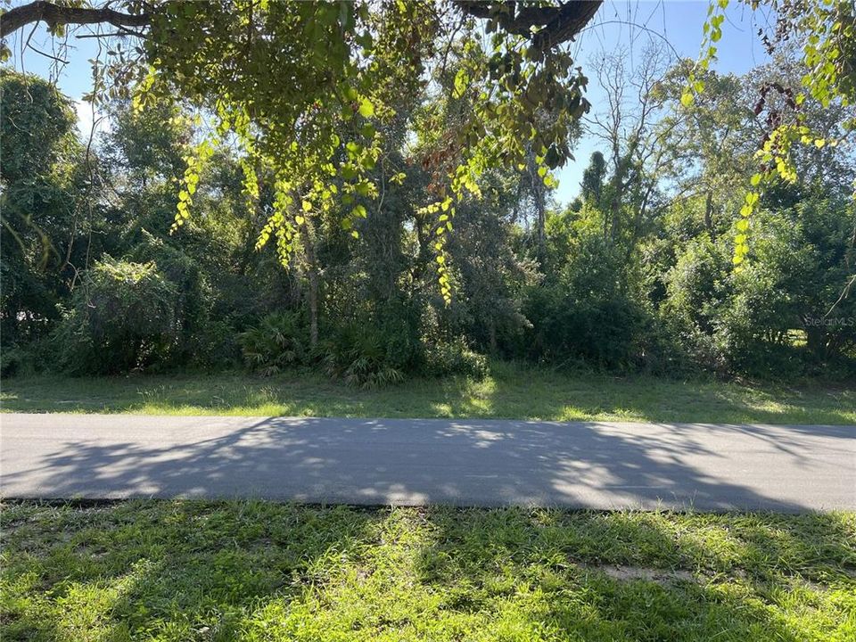 待售: $79,000 (0.25 acres)