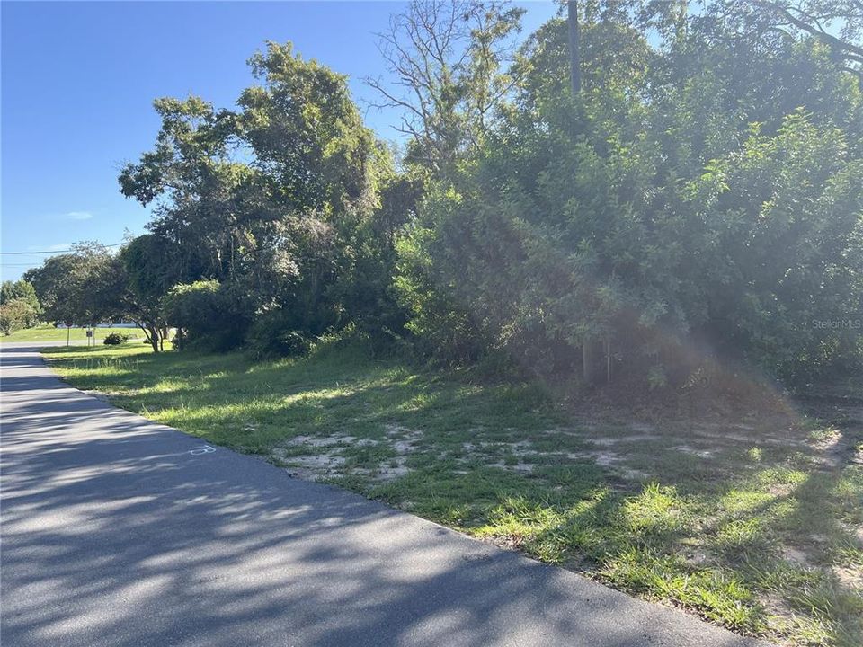 待售: $79,000 (0.25 acres)