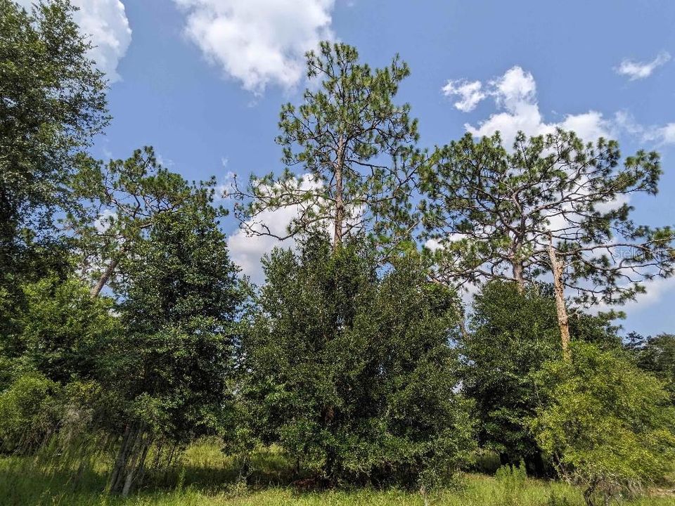Недавно продано: $89,000 (5.00 acres)