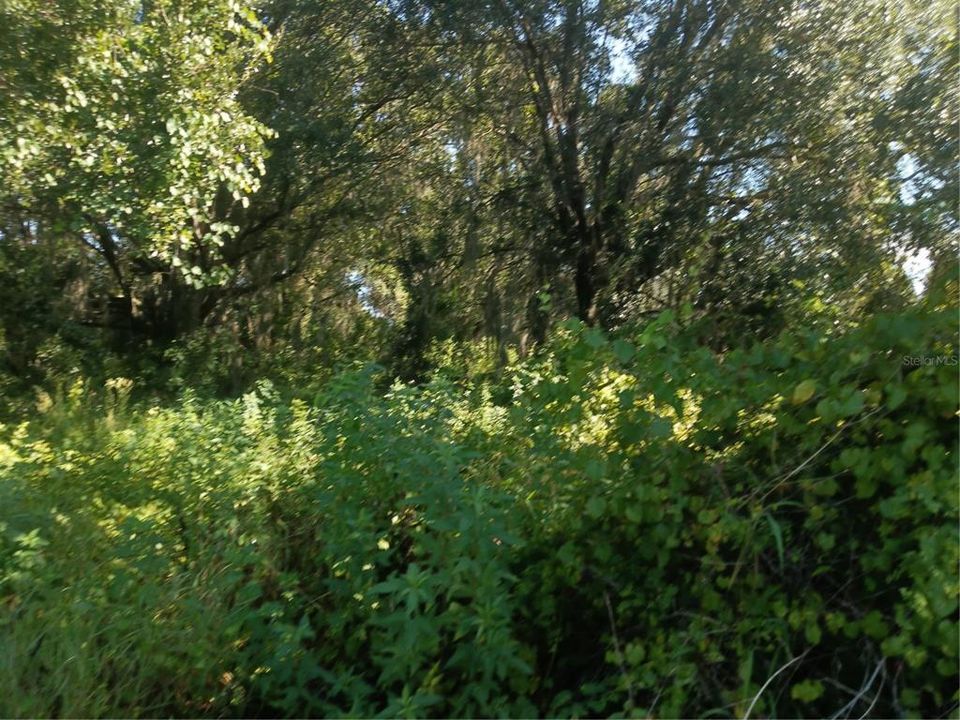 На продажу: $300,000 (5.00 acres)