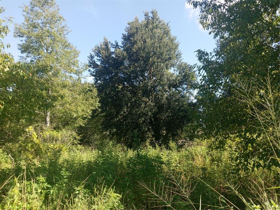 На продажу: $300,000 (5.00 acres)