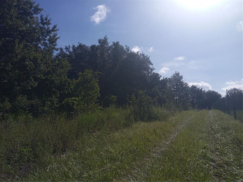 На продажу: $300,000 (5.00 acres)