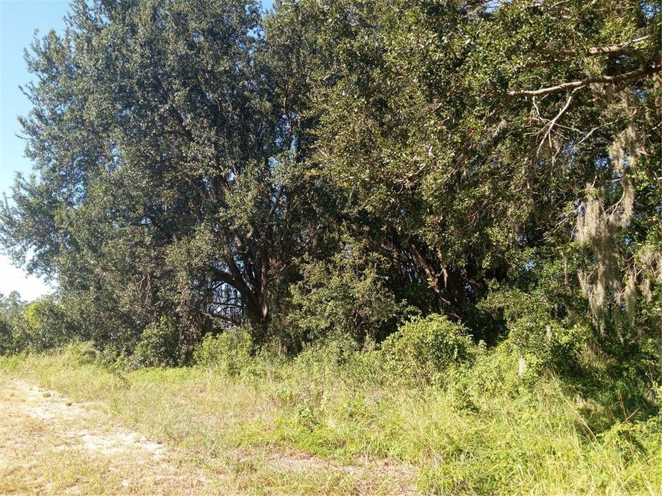 На продажу: $300,000 (5.00 acres)